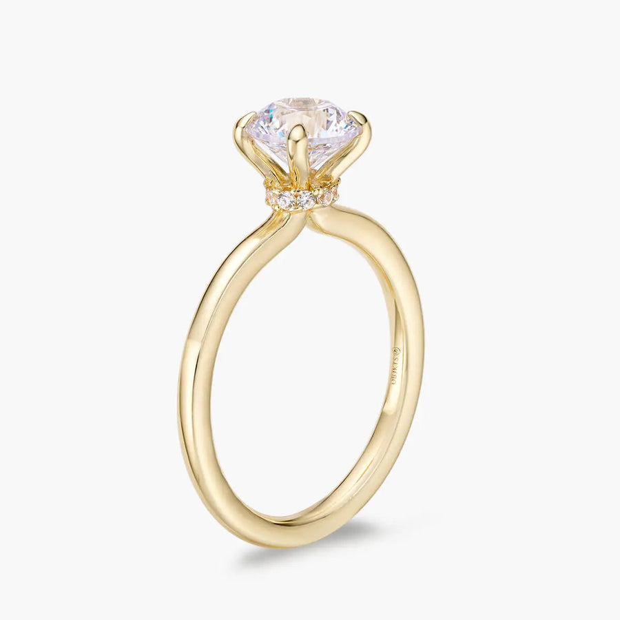 Ali's Ring