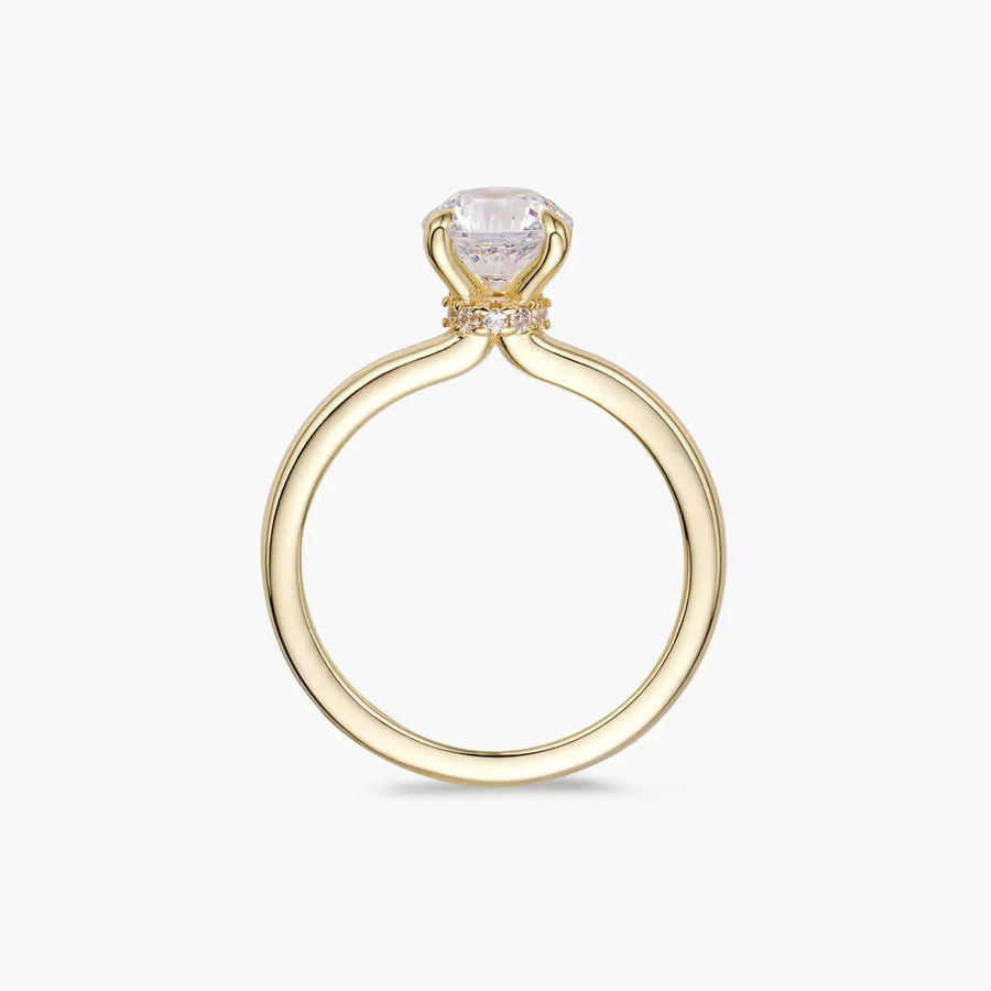 Ali's Ring